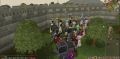 2010 Market Crash 7.jpg