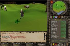 2004 Hide and Seek 4.jpg